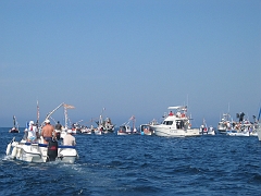 la solitaire 094